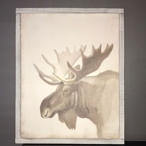 16x18 moose picture